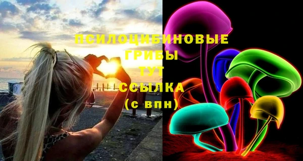 Альфа ПВП Алзамай