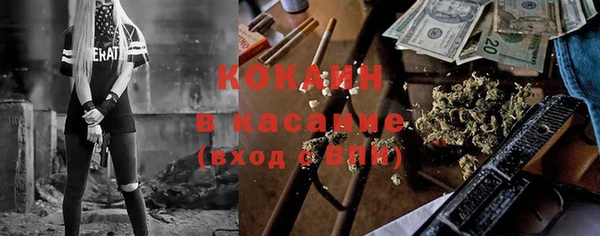 шишки Алексеевка