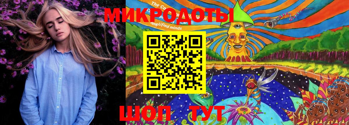 Псилоцибиновые грибы прущие грибы Рубцовск